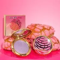 CONCHA HIGHLIGHTER