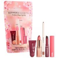 Sephora Favorites X Kohls Perfect Pout Lip Kit